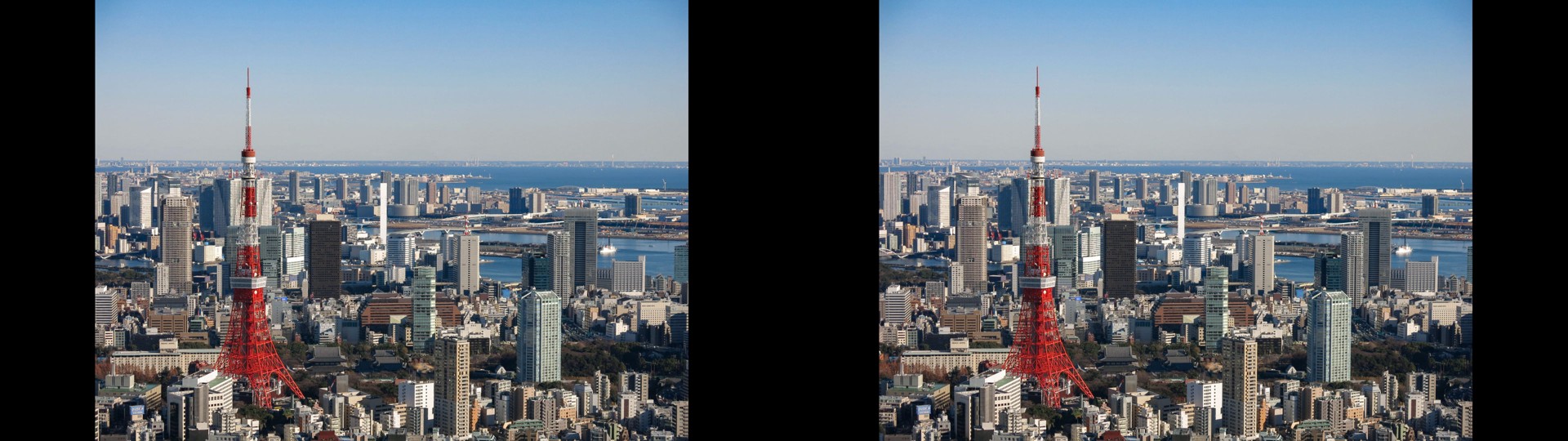 Tokyo Tower and the Bay